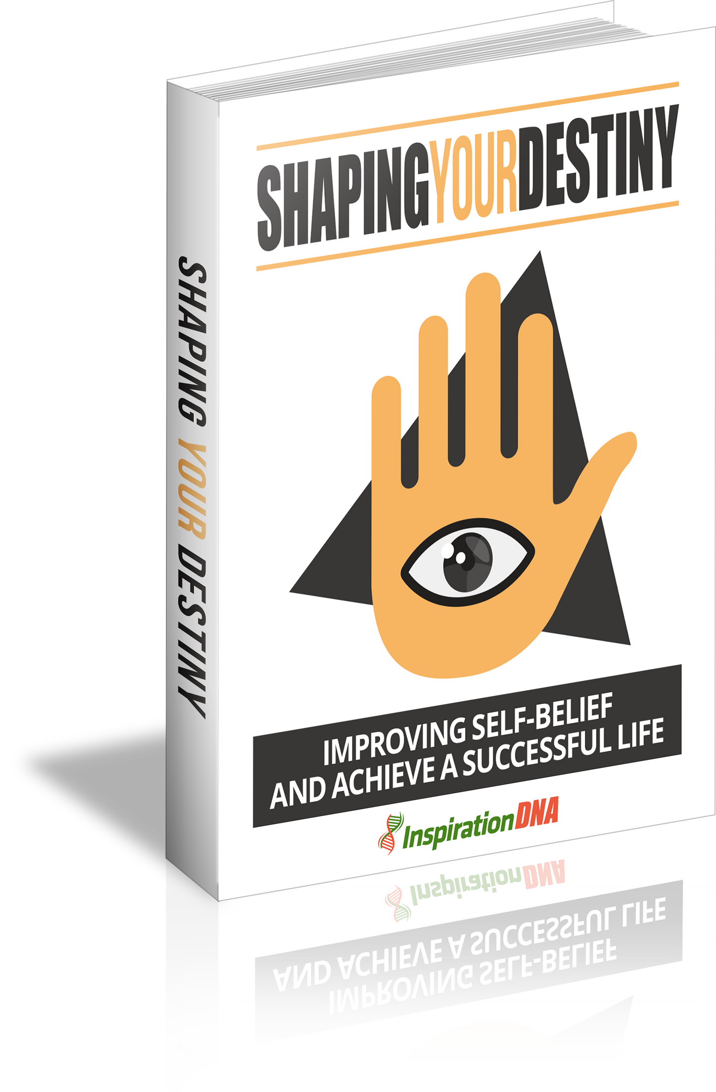 Shaping Your Destiny eBook